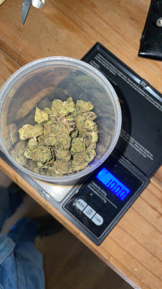 IMG_2257.jpeg