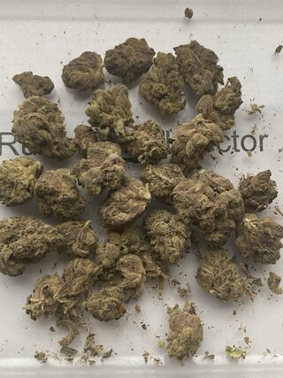 IMG_2184.jpeg