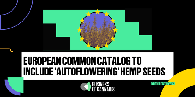‘Autoflowering’ CBD Hemp Seeds Added to the European Common Catalogue for the First Time