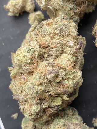 IMG_3268.jpeg