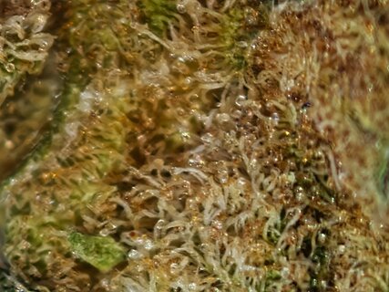 IMG20260325162106.jpg