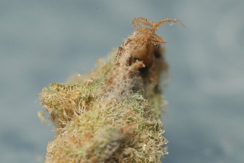 009Z1185.jpg
