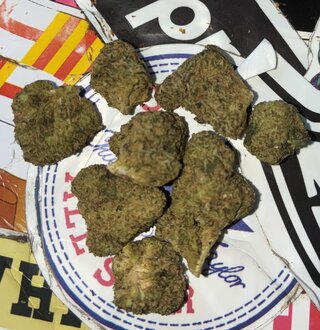 IMG_8132.jpeg