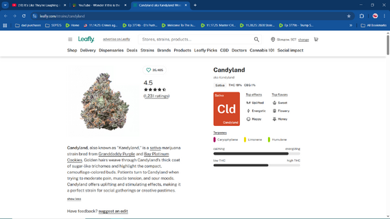 CANDYLAND TERPENES.png