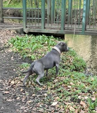 IMG_1637.jpeg