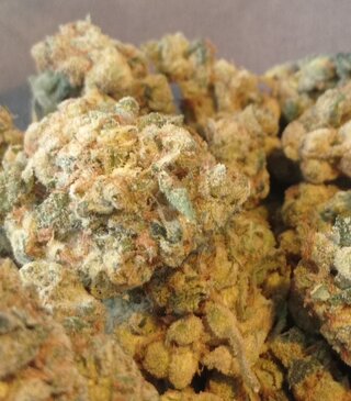 White Haze 2.jpg
