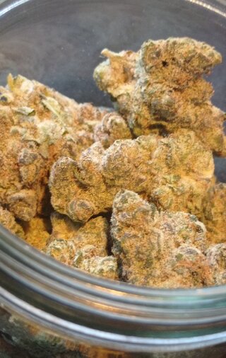 Gelato 33 1.jpg