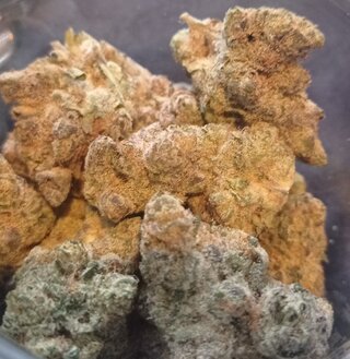 Gelato 33 2.jpg