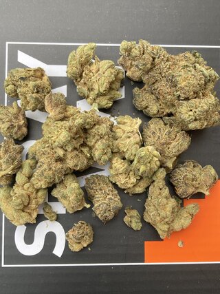 IMG_3294.jpeg