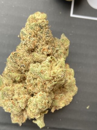 IMG_3297.jpeg