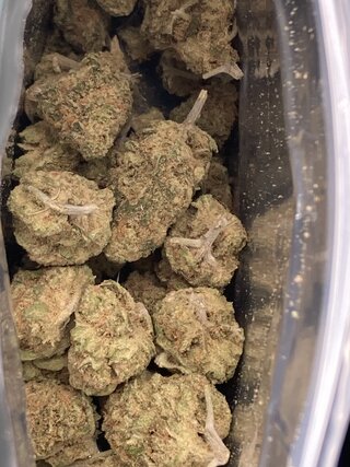 IMG_3303.jpeg