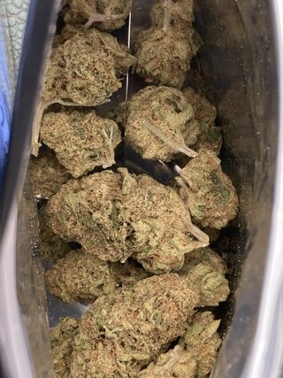 IMG_3304.jpeg