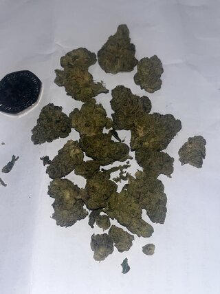IMG_2740.jpeg