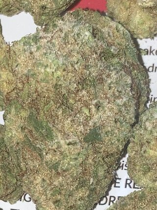 IMG_0409.jpeg