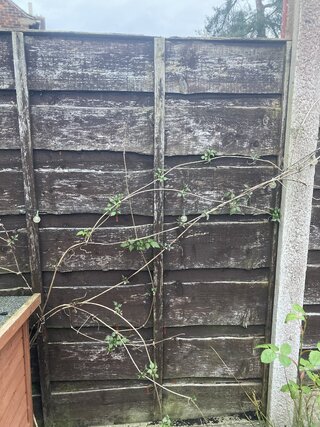 IMG_3313.jpeg