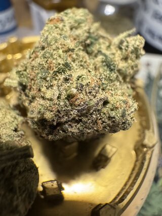 IMG_5830.jpeg