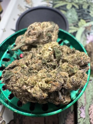 IMG_5848.jpeg