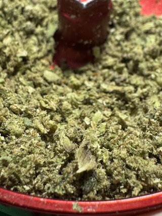 IMG_5850.jpeg
