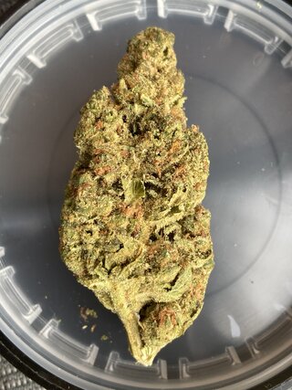 IMG_3327.jpeg