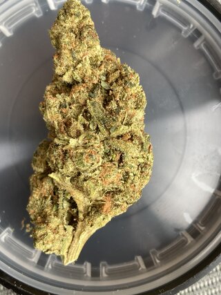 IMG_3328.jpeg