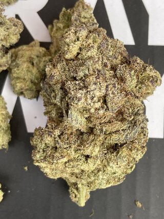 IMG_3330.jpeg