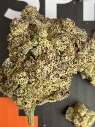 IMG_3331.jpeg