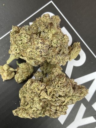 IMG_3332.jpeg