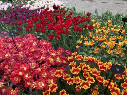 IMG_0028.jpeg