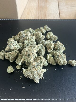 IMG_7400.jpeg