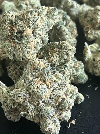 IMG_7401.jpeg