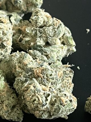 IMG_7402.jpeg
