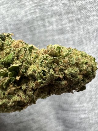 IMG_4973.jpeg