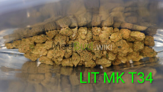 photo-mk-smalls-t30-master-kush-medical-cannabis.434d994de9412e958e5d7d3b7c05664c.jpg