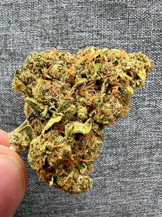 IMG_5045.jpeg