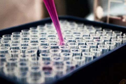 New Data, New Players: Why Cannabis Pharma Deserves Investor Attention