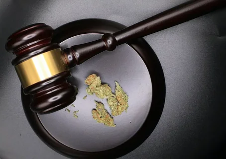 Ireland’s Cannabis Reform Gains Momentum: Oireachtas Committee Pushes Decriminalisation of Cannabis in Ireland
