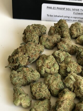IMG_2124.jpeg