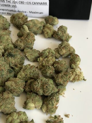 IMG_2125.jpeg