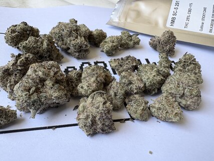 IMG_2813.jpeg