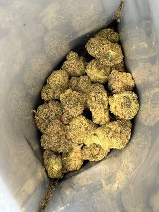 IMG_9082.jpeg