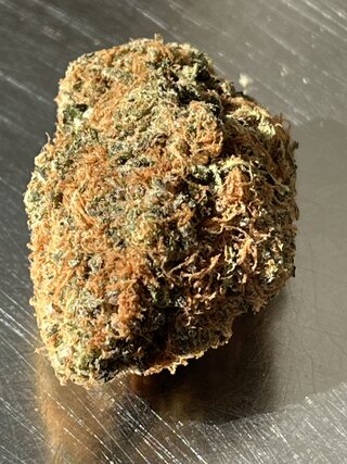 IMG_7431.jpeg
