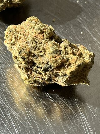 IMG_7439.jpeg