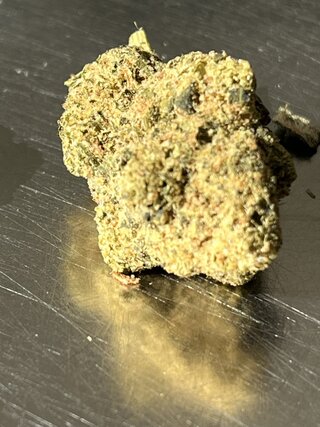 IMG_7442.jpeg
