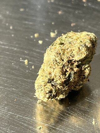 IMG_7445.jpeg