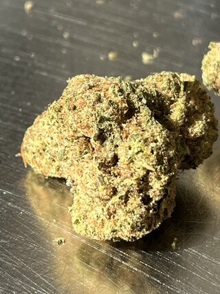 IMG_7448.jpeg