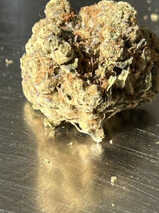 IMG_7451.jpeg