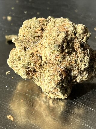 IMG_7450.jpeg