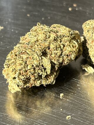 IMG_7455.jpeg