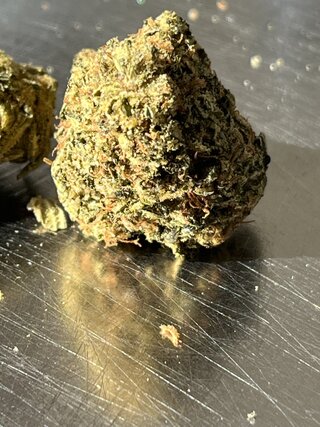 IMG_7454.jpeg
