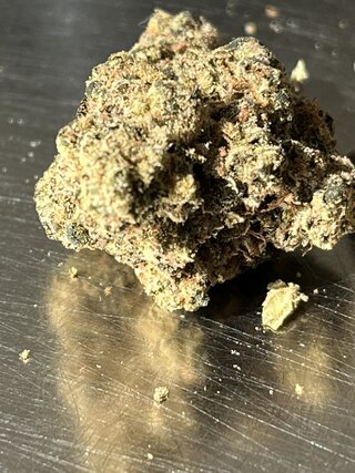 IMG_7458.jpeg